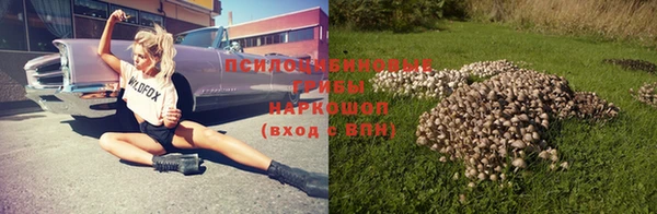 дурь Горнозаводск