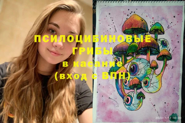 дурь Горнозаводск