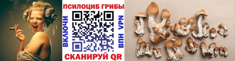 Галлюциногенные грибы Cubensis  Купить закладки  Рассказово 
